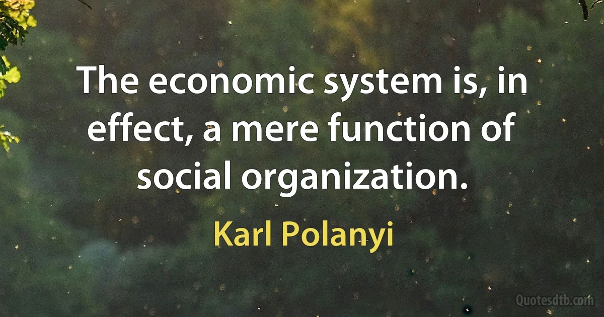 The economic system is, in effect, a mere function of social organization. (Karl Polanyi)