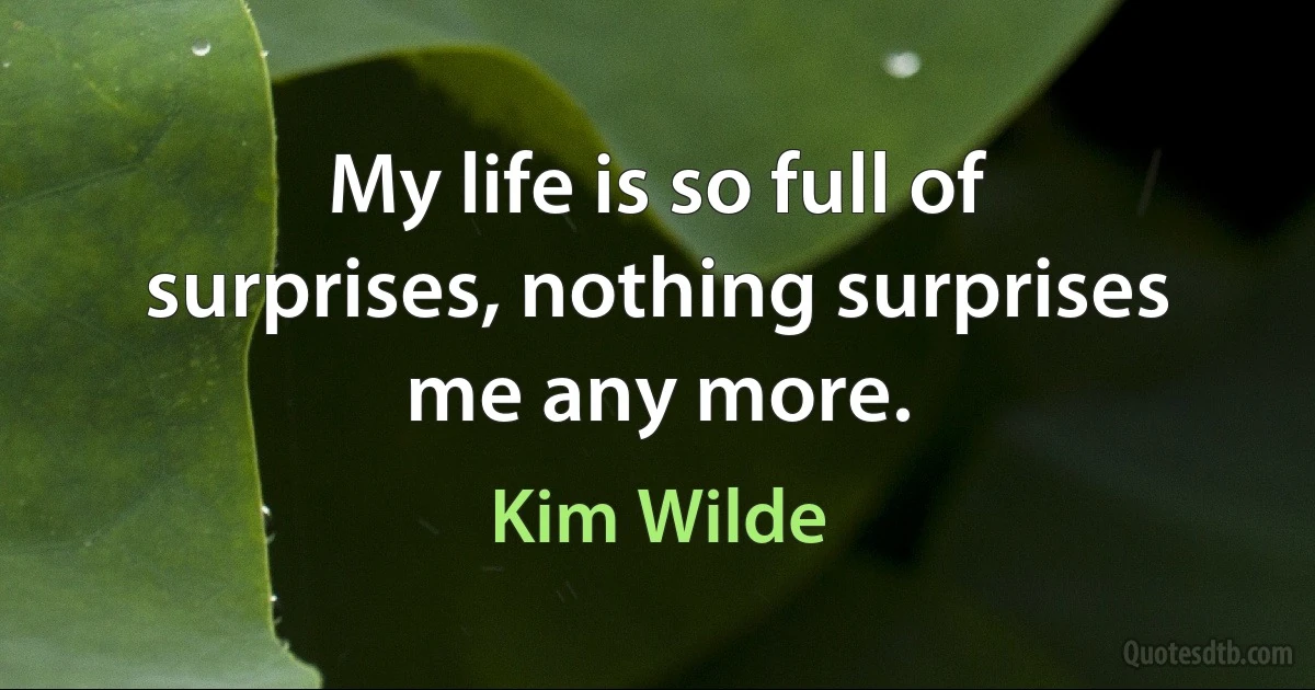 My life is so full of surprises, nothing surprises me any more. (Kim Wilde)