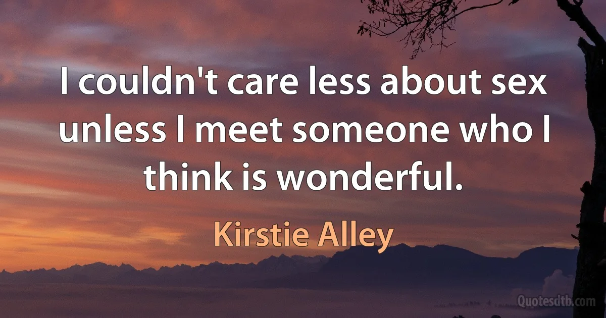 I couldn't care less about sex unless I meet someone who I think is wonderful. (Kirstie Alley)