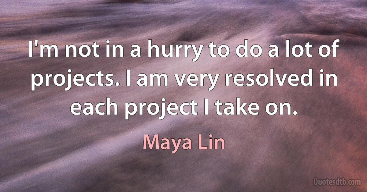 I'm not in a hurry to do a lot of projects. I am very resolved in each project I take on. (Maya Lin)