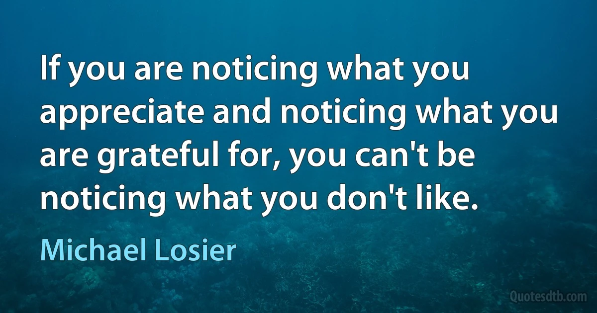 If you are noticing what you appreciate and noticing what you are grateful for, you can't be noticing what you don't like. (Michael Losier)