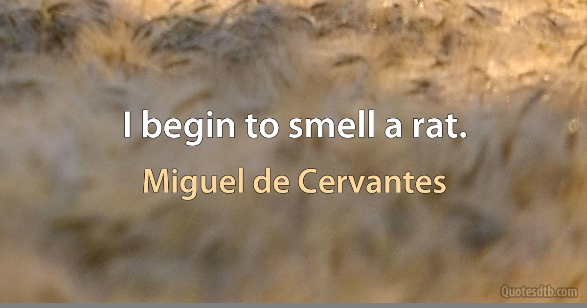 I begin to smell a rat. (Miguel de Cervantes)