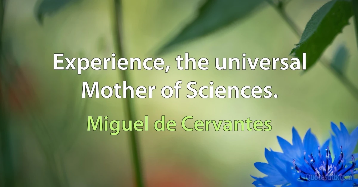 Experience, the universal Mother of Sciences. (Miguel de Cervantes)