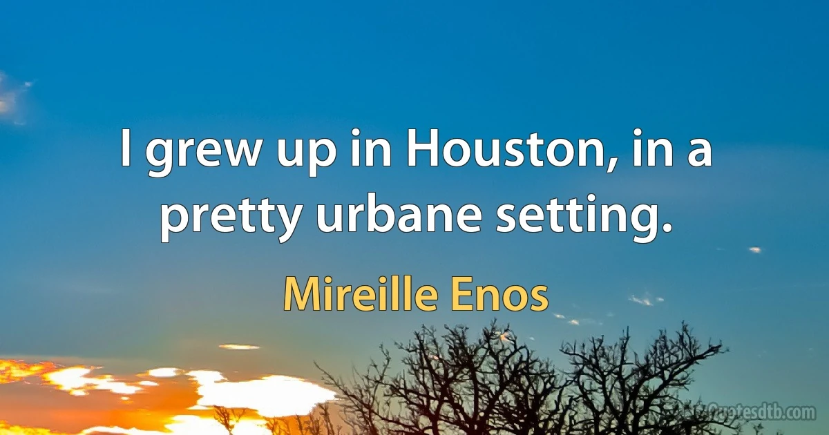 I grew up in Houston, in a pretty urbane setting. (Mireille Enos)