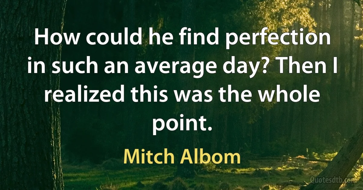 How could he find perfection in such an average day? Then I realized this was the whole point. (Mitch Albom)