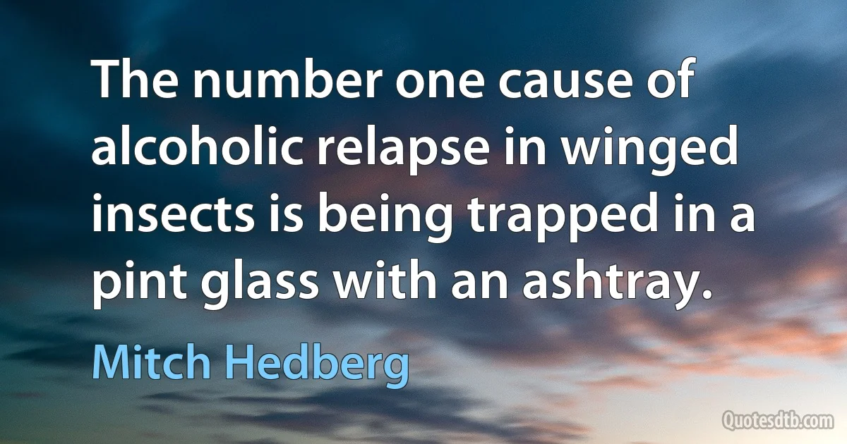 The number one cause of alcoholic relapse in winged insects is being trapped in a pint glass with an ashtray. (Mitch Hedberg)