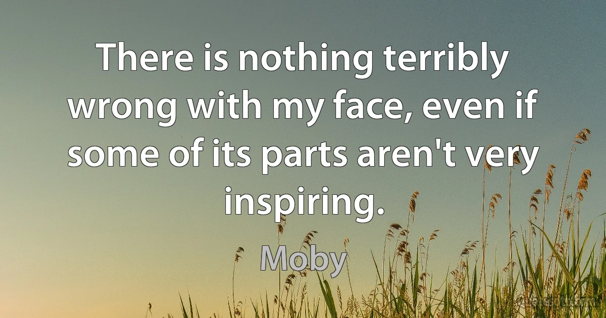 There is nothing terribly wrong with my face, even if some of its parts aren't very inspiring. (Moby)