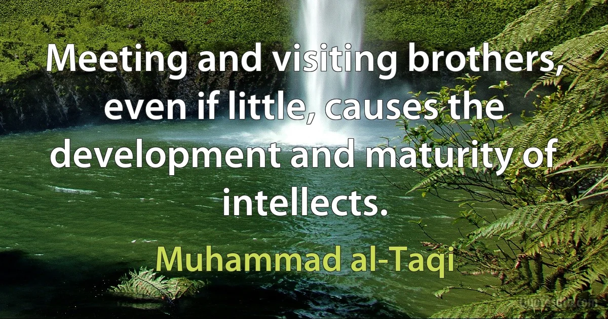 Meeting and visiting brothers, even if little, causes the development and maturity of intellects. (Muhammad al-Taqi)