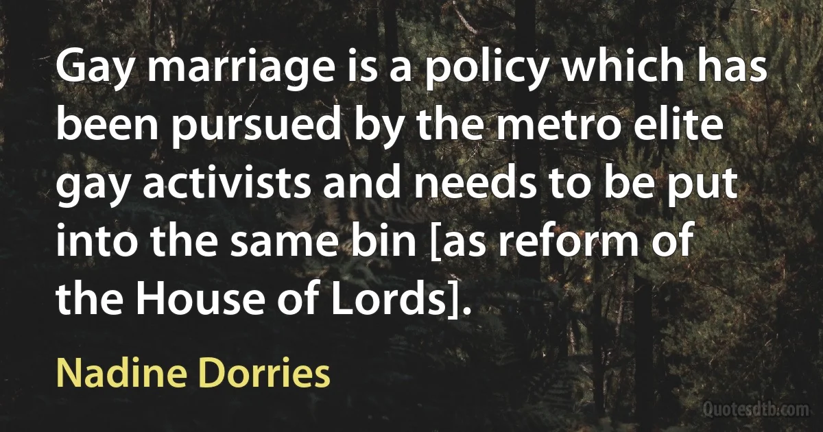 Gay marriage is a policy which has been pursued by the metro elite gay activists and needs to be put into the same bin [as reform of the House of Lords]. (Nadine Dorries)