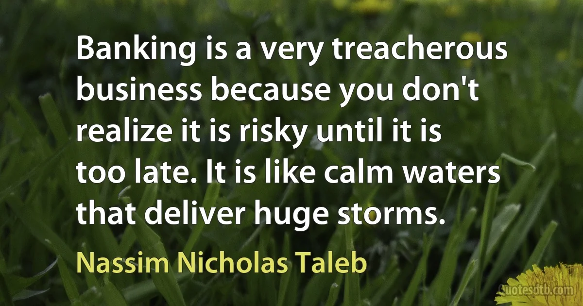 Banking is a very treacherous business because you don't realize it is risky until it is too late. It is like calm waters that deliver huge storms. (Nassim Nicholas Taleb)