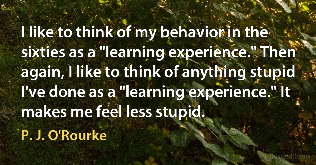 I like to think of my behavior in the sixties as a "learning experience." Then again, I like to think of anything stupid I've done as a "learning experience." It makes me feel less stupid. (P. J. O'Rourke)