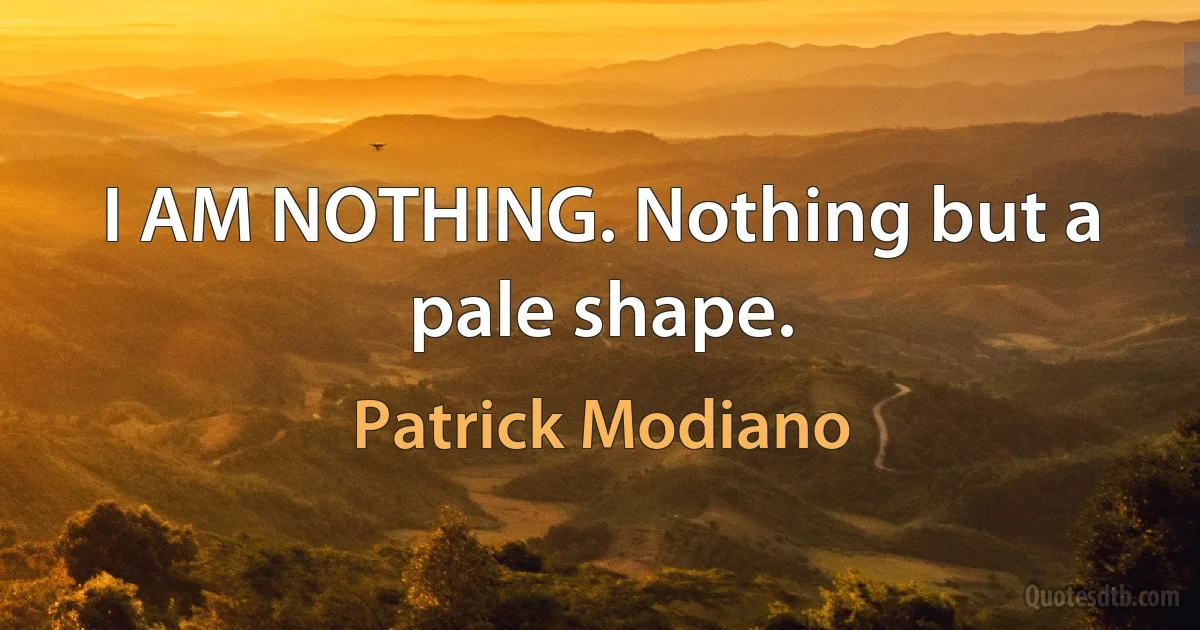 I AM NOTHING. Nothing but a pale shape. (Patrick Modiano)