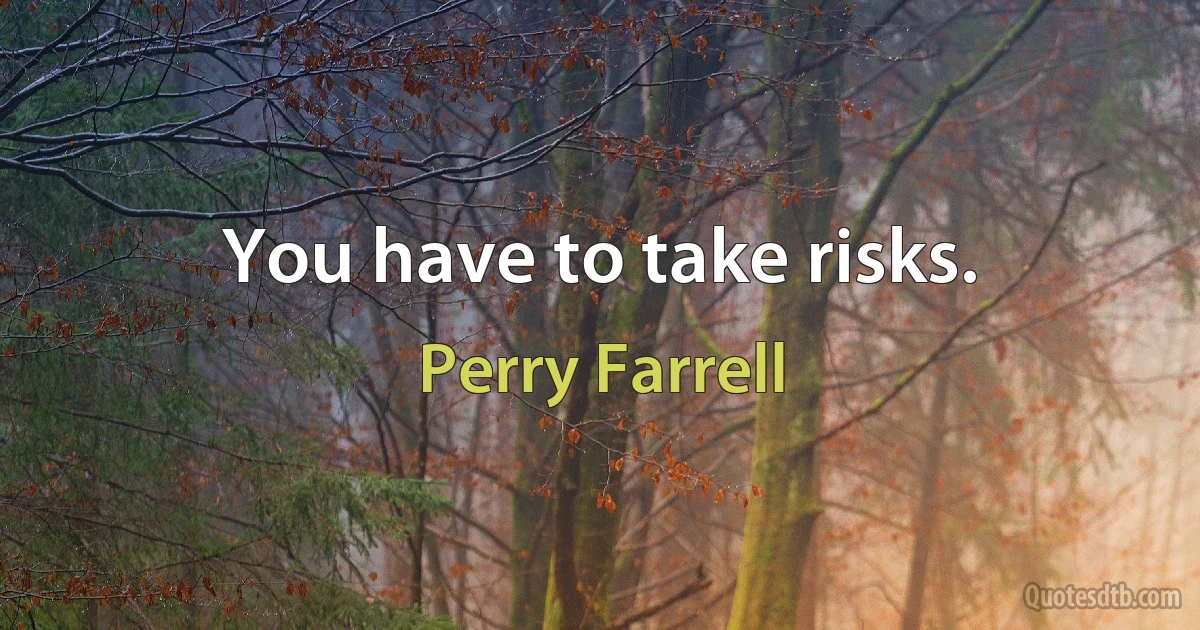 You have to take risks. (Perry Farrell)