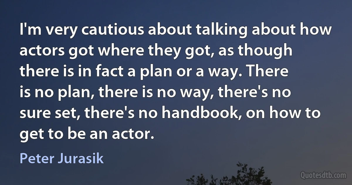 I'm very cautious about talking about how actors got where they got, as though there is in fact a plan or a way. There is no plan, there is no way, there's no sure set, there's no handbook, on how to get to be an actor. (Peter Jurasik)