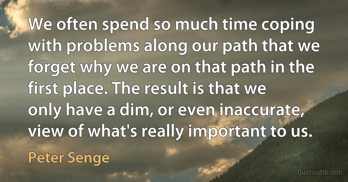 We often spend so much time coping with problems along our path that we forget why we are on that path in the first place. The result is that we only have a dim, or even inaccurate, view of what's really important to us. (Peter Senge)