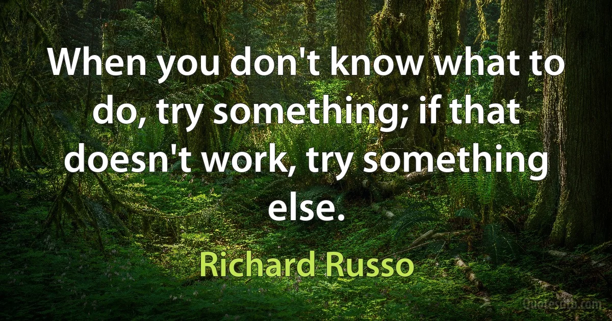 When you don't know what to do, try something; if that doesn't work, try something else. (Richard Russo)