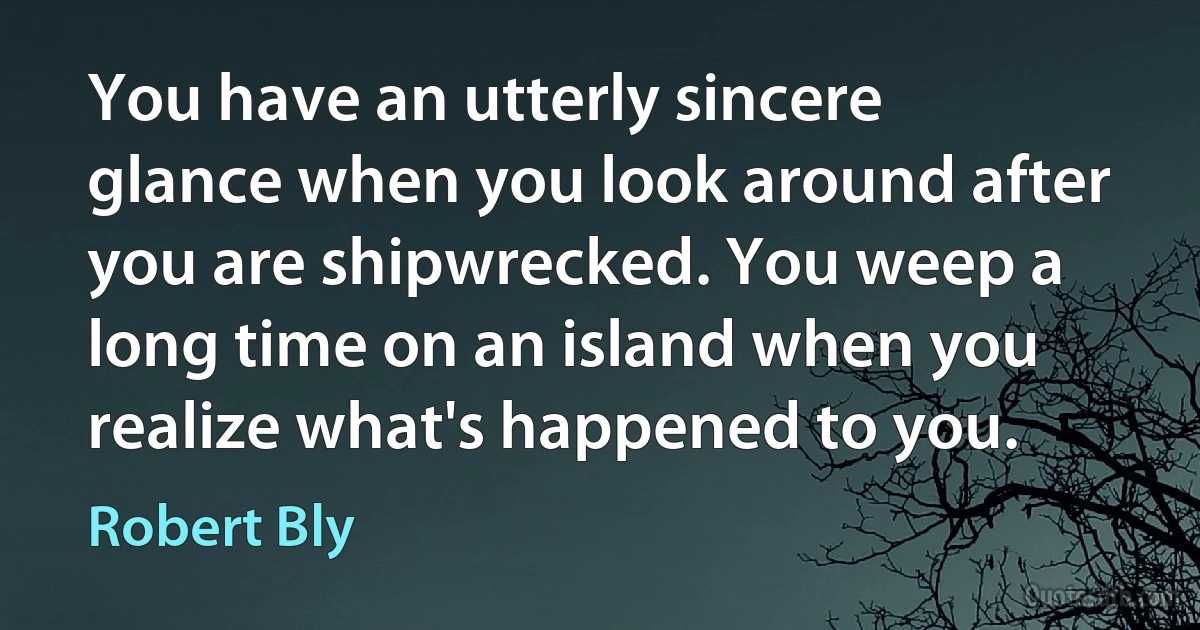 You have an utterly sincere glance when you look around after you are shipwrecked. You weep a long time on an island when you realize what's happened to you. (Robert Bly)