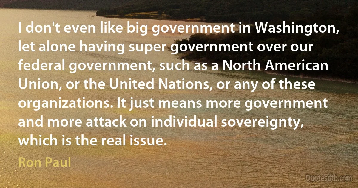 I don't even like big government in Washington, let alone having super government over our federal government, such as a North American Union, or the United Nations, or any of these organizations. It just means more government and more attack on individual sovereignty, which is the real issue. (Ron Paul)