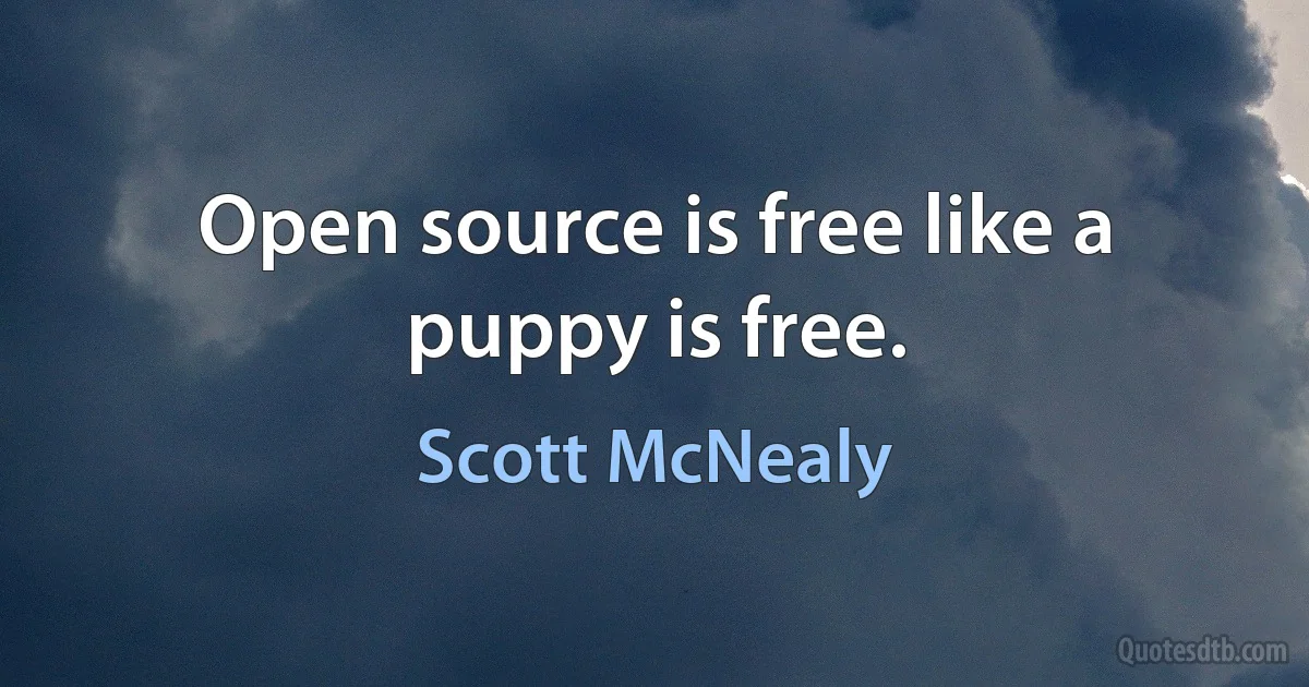 Open source is free like a puppy is free. (Scott McNealy)