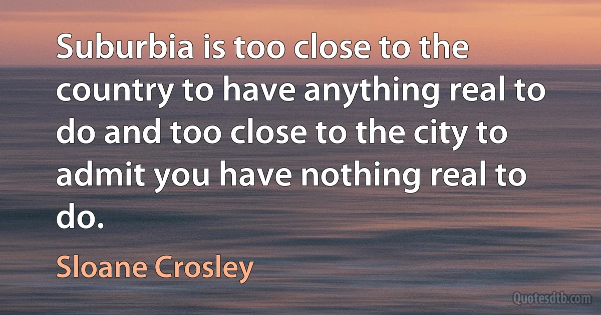 Suburbia is too close to the country to have anything real to do and too close to the city to admit you have nothing real to do. (Sloane Crosley)