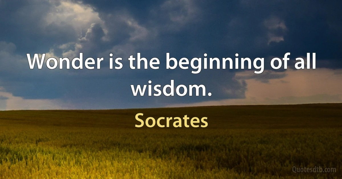 Wonder is the beginning of all wisdom. (Socrates)