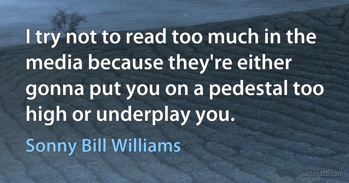 I try not to read too much in the media because they're either gonna put you on a pedestal too high or underplay you. (Sonny Bill Williams)