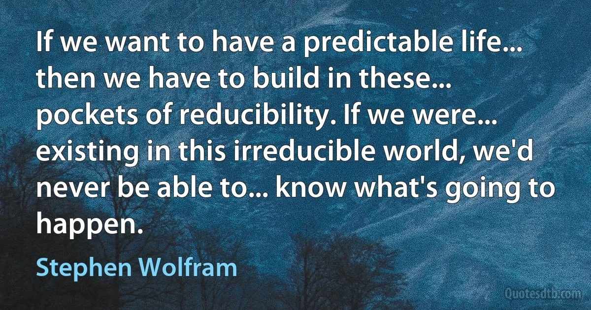 If we want to have a predictable life... then we have to build in these... pockets of reducibility. If we were... existing in this irreducible world, we'd never be able to... know what's going to happen. (Stephen Wolfram)