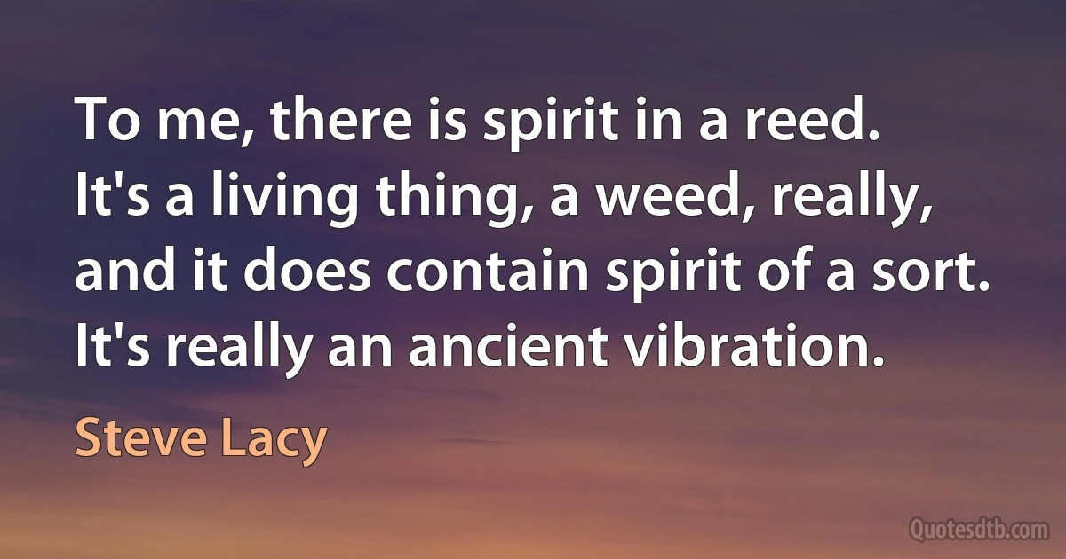 To me, there is spirit in a reed. It's a living thing, a weed, really, and it does contain spirit of a sort. It's really an ancient vibration. (Steve Lacy)