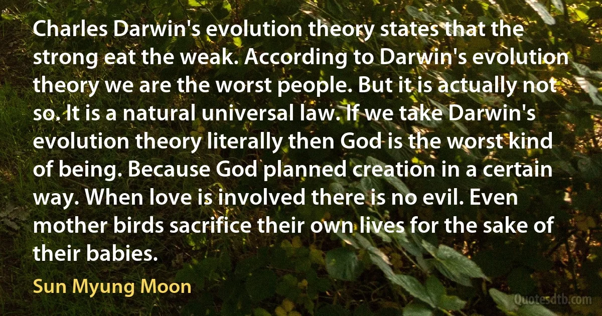 Charles Darwin's evolution theory states that the strong eat the weak. According to Darwin's evolution theory we are the worst people. But it is actually not so. It is a natural universal law. If we take Darwin's evolution theory literally then God is the worst kind of being. Because God planned creation in a certain way. When love is involved there is no evil. Even mother birds sacrifice their own lives for the sake of their babies. (Sun Myung Moon)