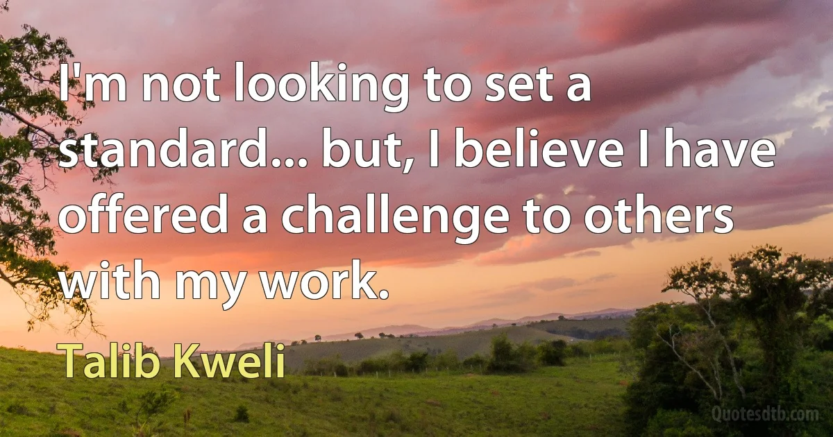 I'm not looking to set a standard... but, I believe I have offered a challenge to others with my work. (Talib Kweli)