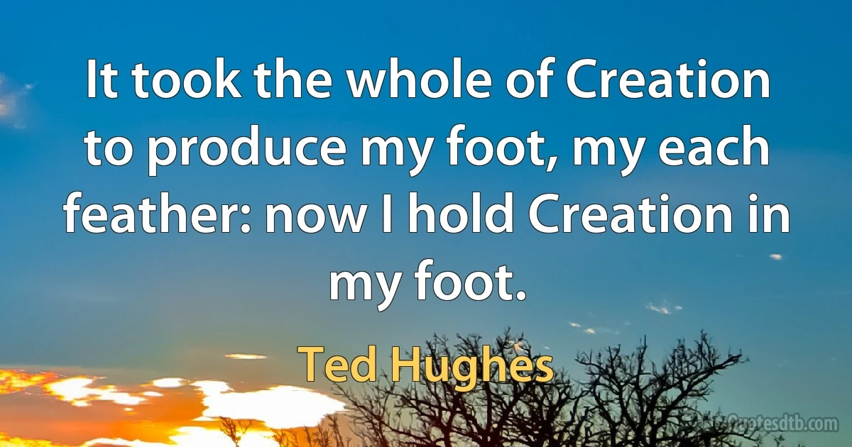 It took the whole of Creation to produce my foot, my each feather: now I hold Creation in my foot. (Ted Hughes)