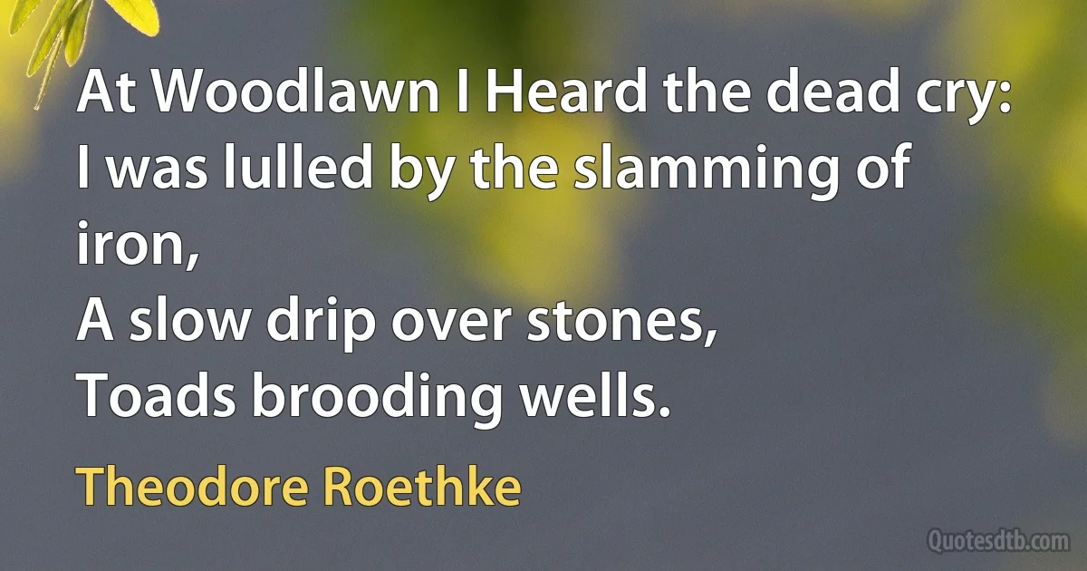 At Woodlawn I Heard the dead cry:
I was lulled by the slamming of iron,
A slow drip over stones,
Toads brooding wells. (Theodore Roethke)