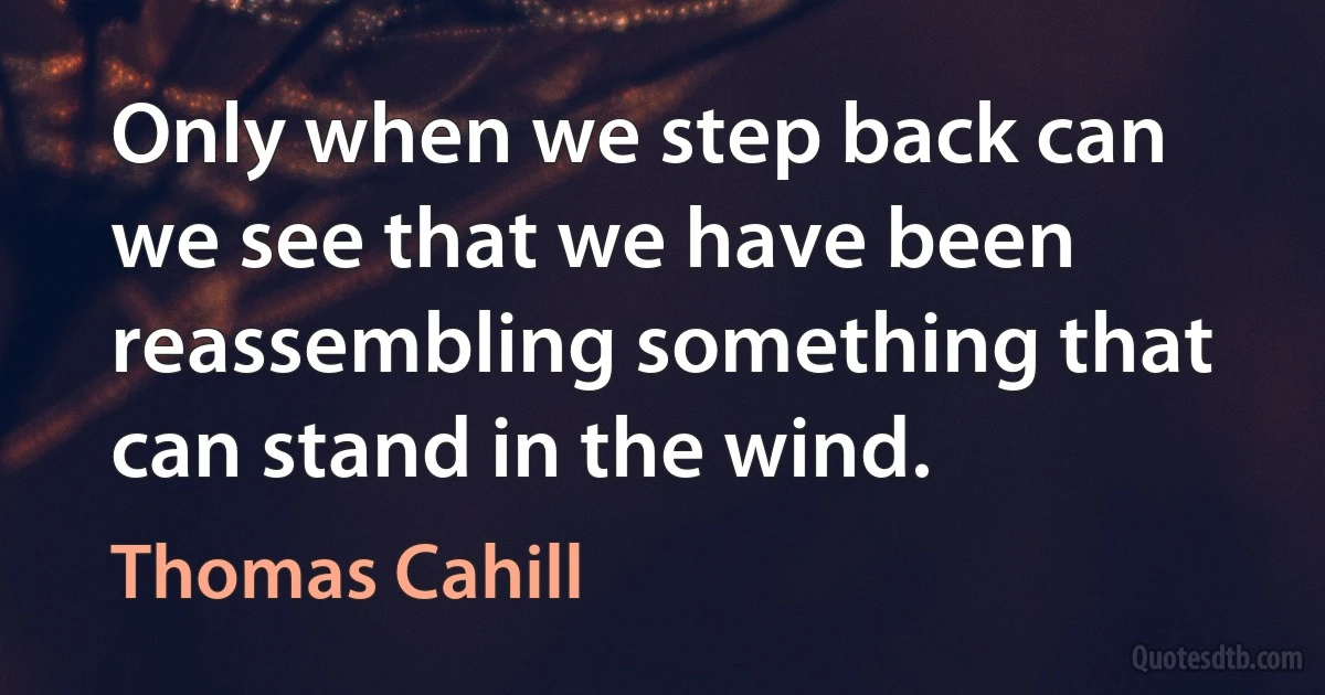 Only when we step back can we see that we have been reassembling something that can stand in the wind. (Thomas Cahill)