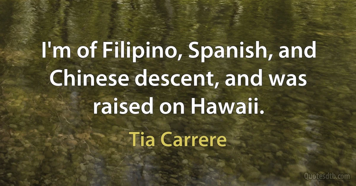 I'm of Filipino, Spanish, and Chinese descent, and was raised on Hawaii. (Tia Carrere)