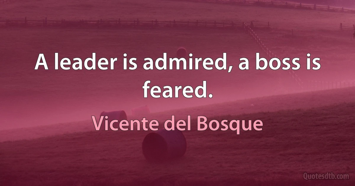 A leader is admired, a boss is feared. (Vicente del Bosque)