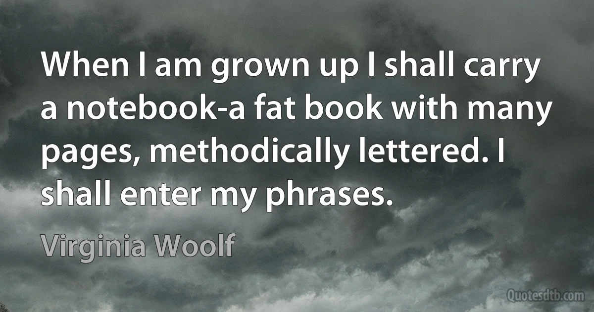 When I am grown up I shall carry a notebook-a fat book with many pages, methodically lettered. I shall enter my phrases. (Virginia Woolf)