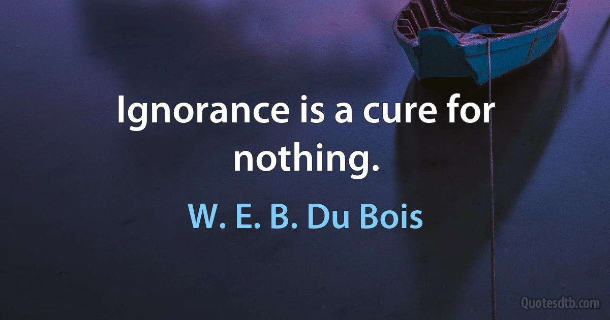 Ignorance is a cure for nothing. (W. E. B. Du Bois)