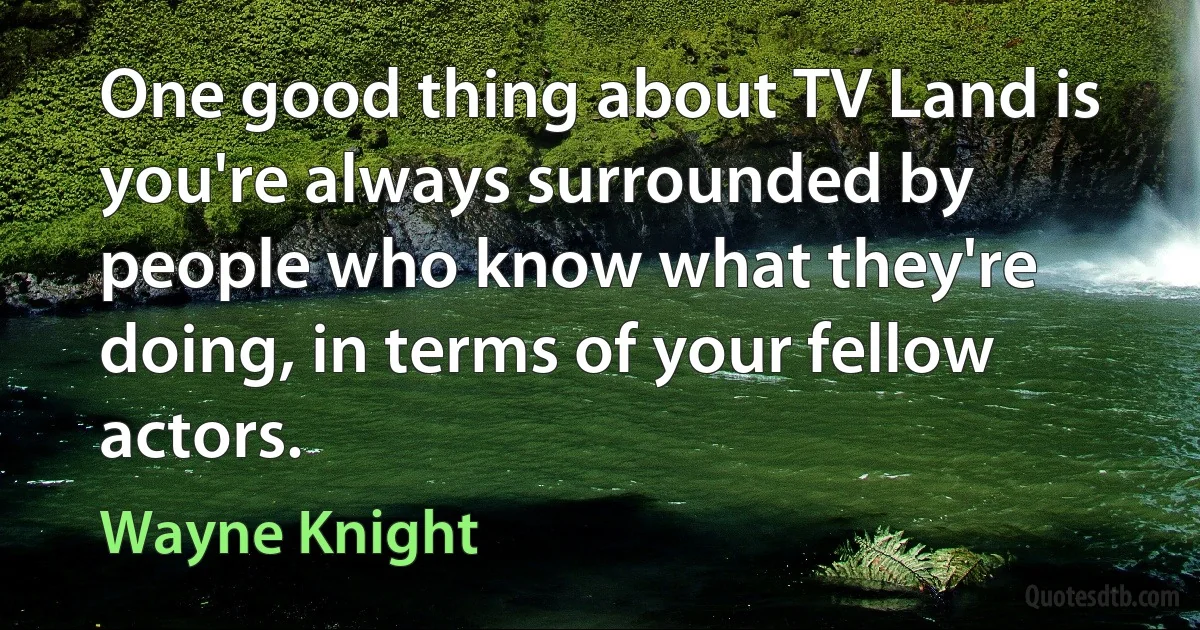 One good thing about TV Land is you're always surrounded by people who know what they're doing, in terms of your fellow actors. (Wayne Knight)