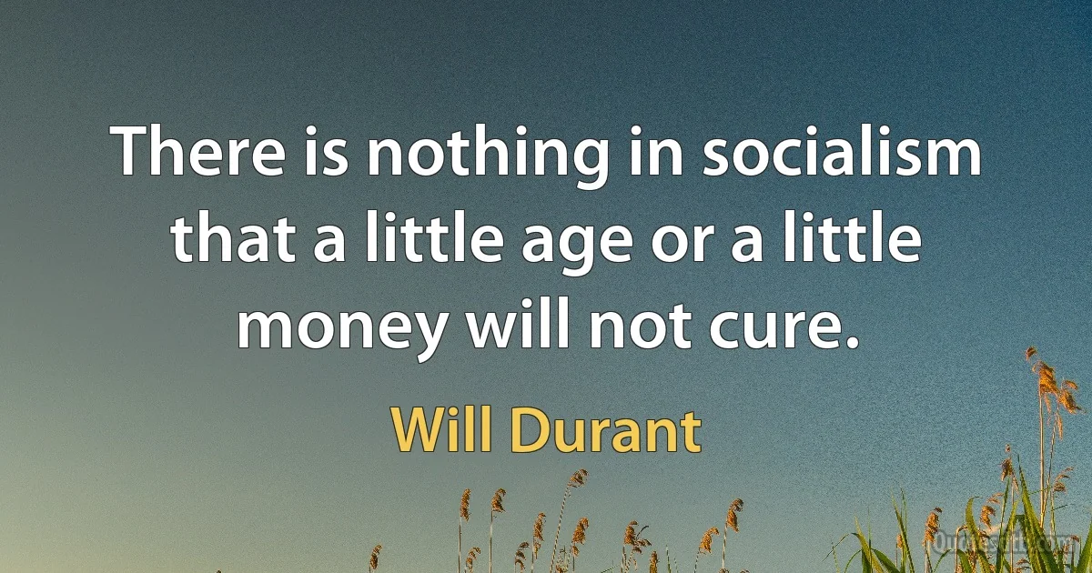 There is nothing in socialism that a little age or a little money will not cure. (Will Durant)