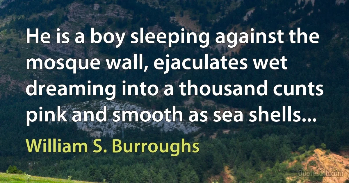 He is a boy sleeping against the mosque wall, ejaculates wet dreaming into a thousand cunts pink and smooth as sea shells... (William S. Burroughs)