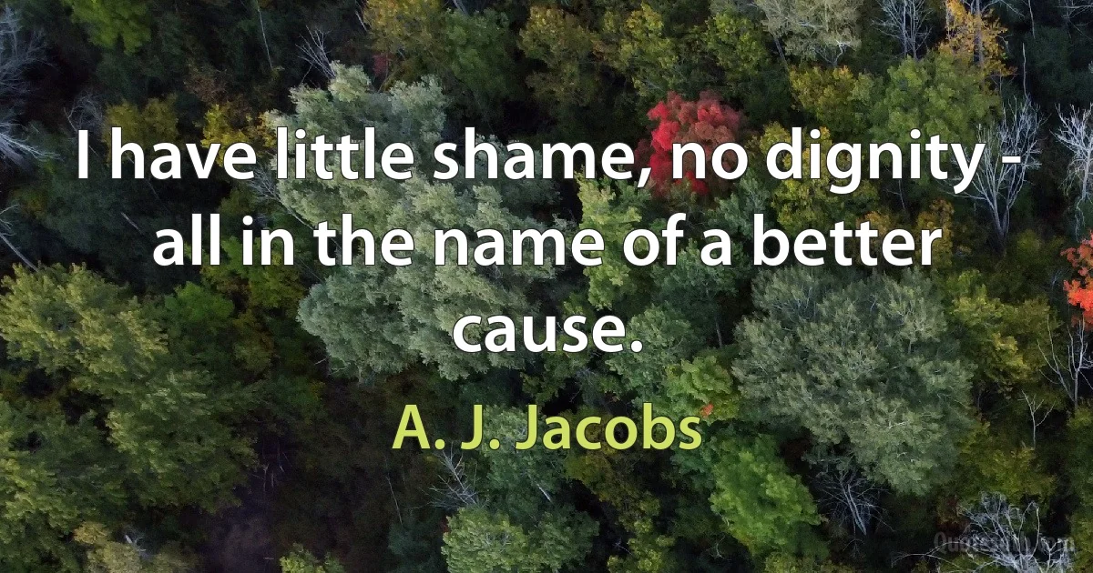 I have little shame, no dignity - all in the name of a better cause. (A. J. Jacobs)