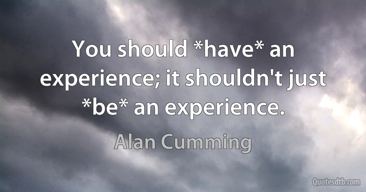 You should *have* an experience; it shouldn't just *be* an experience. (Alan Cumming)