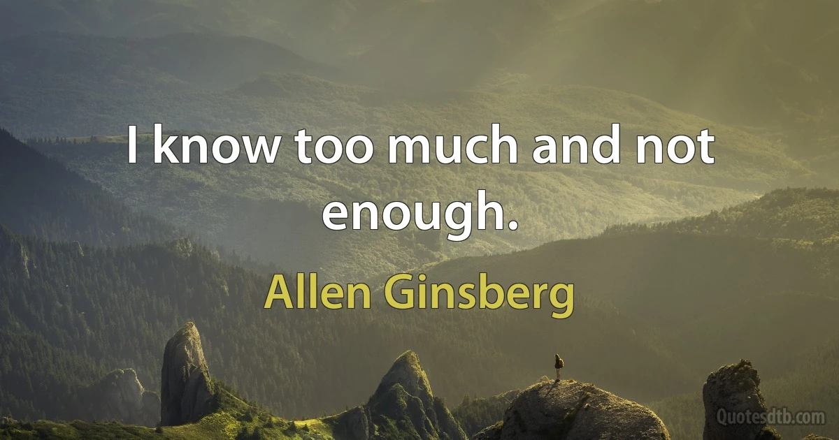 I know too much and not enough. (Allen Ginsberg)