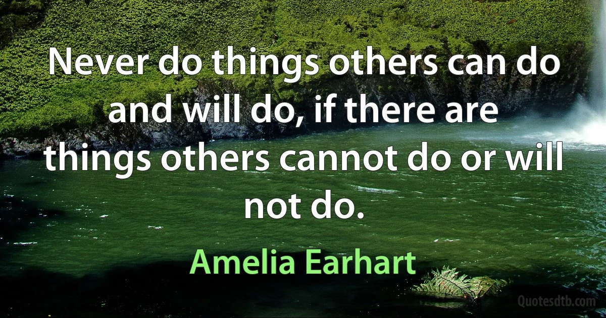 Never do things others can do and will do, if there are things others cannot do or will not do. (Amelia Earhart)