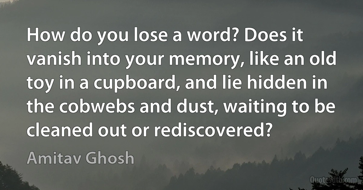 How do you lose a word? Does it vanish into your memory, like an old toy in a cupboard, and lie hidden in the cobwebs and dust, waiting to be cleaned out or rediscovered? (Amitav Ghosh)