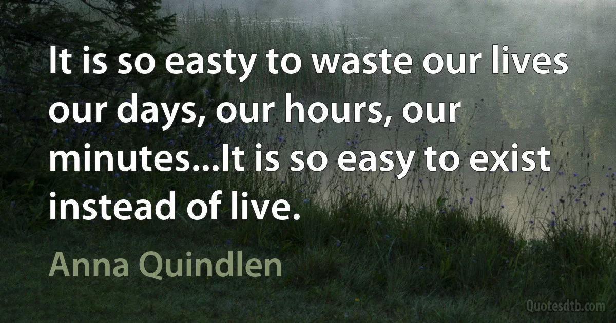 It is so easty to waste our lives our days, our hours, our minutes...It is so easy to exist instead of live. (Anna Quindlen)