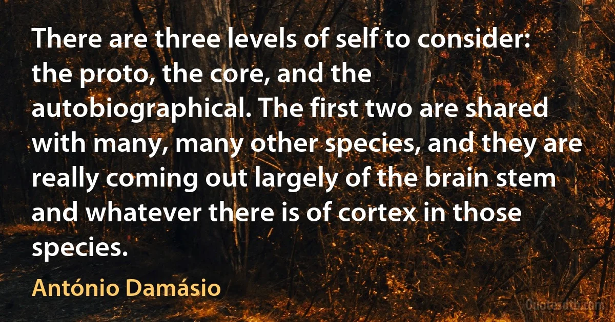 There are three levels of self to consider: the proto, the core, and the autobiographical. The first two are shared with many, many other species, and they are really coming out largely of the brain stem and whatever there is of cortex in those species. (António Damásio)