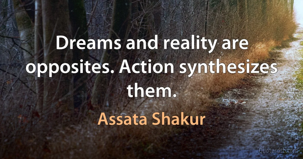 Dreams and reality are opposites. Action synthesizes them. (Assata Shakur)