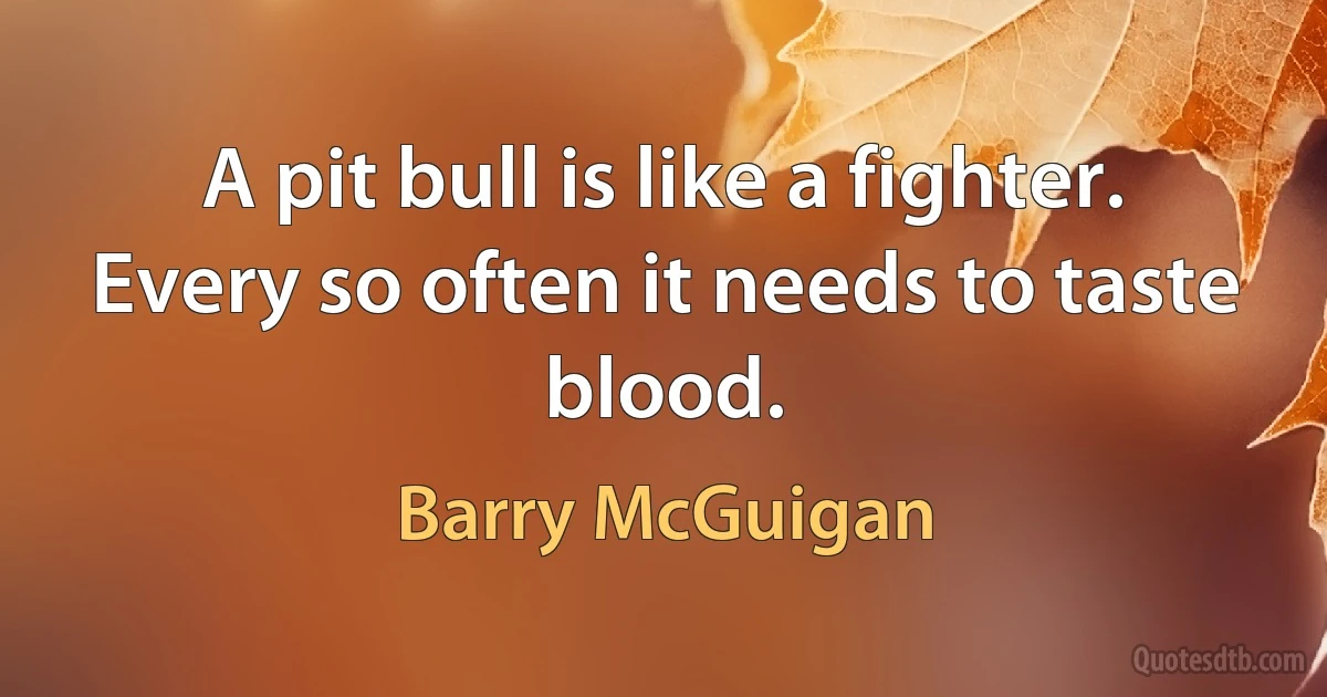 A pit bull is like a fighter. Every so often it needs to taste blood. (Barry McGuigan)