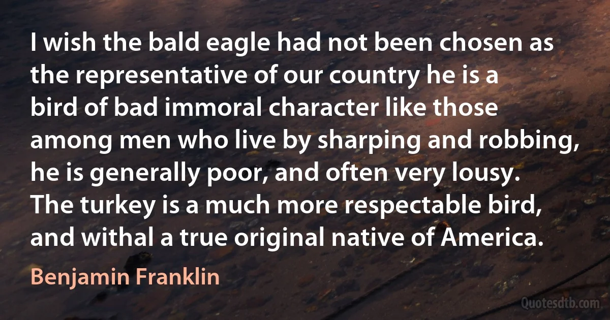 I wish the bald eagle had not been chosen as the representative of our country he is a bird of bad immoral character like those among men who live by sharping and robbing, he is generally poor, and often very lousy. The turkey is a much more respectable bird, and withal a true original native of America. (Benjamin Franklin)